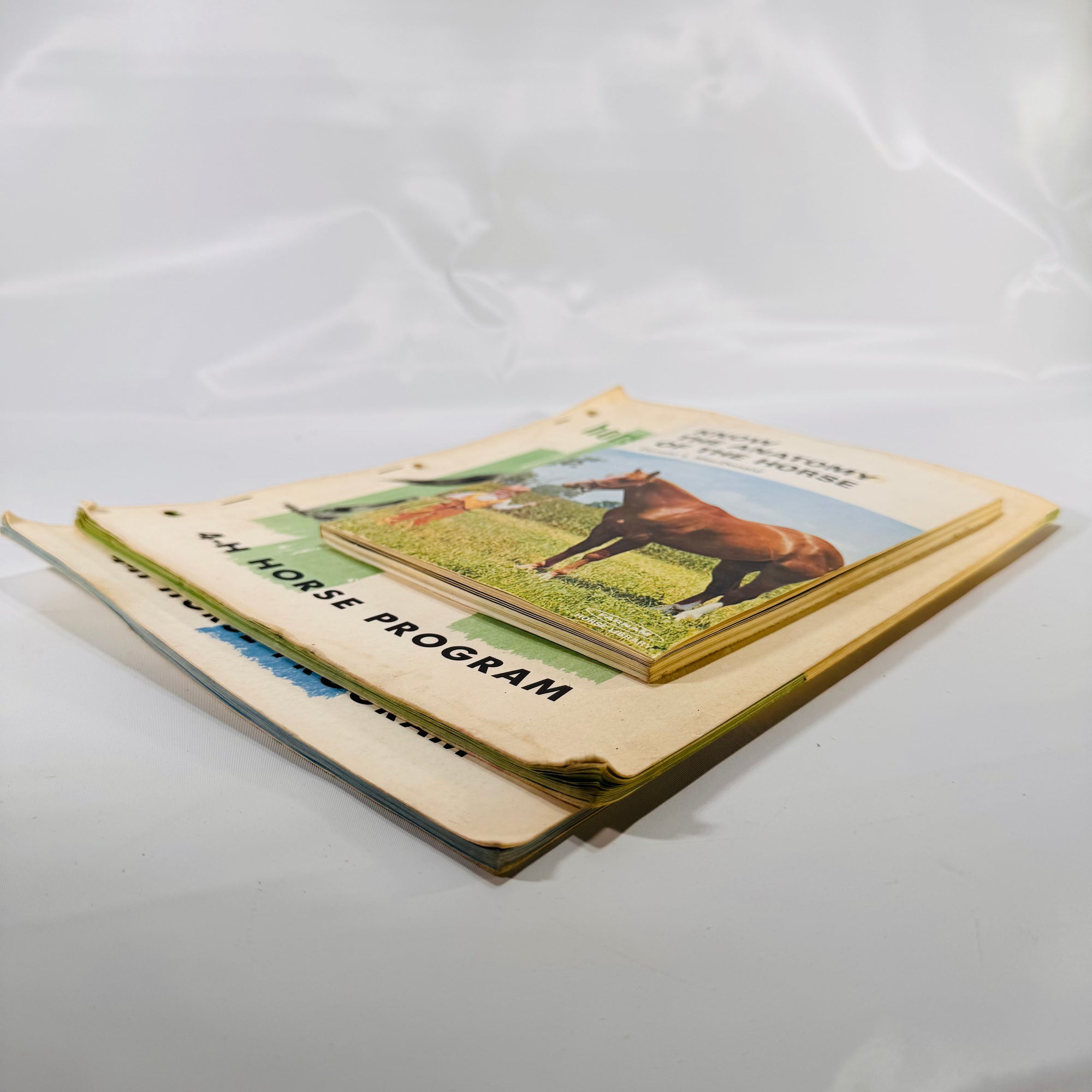 Set of Three Vintage Horse Books – Equine Anatomy & 4-H Horse Program Guides