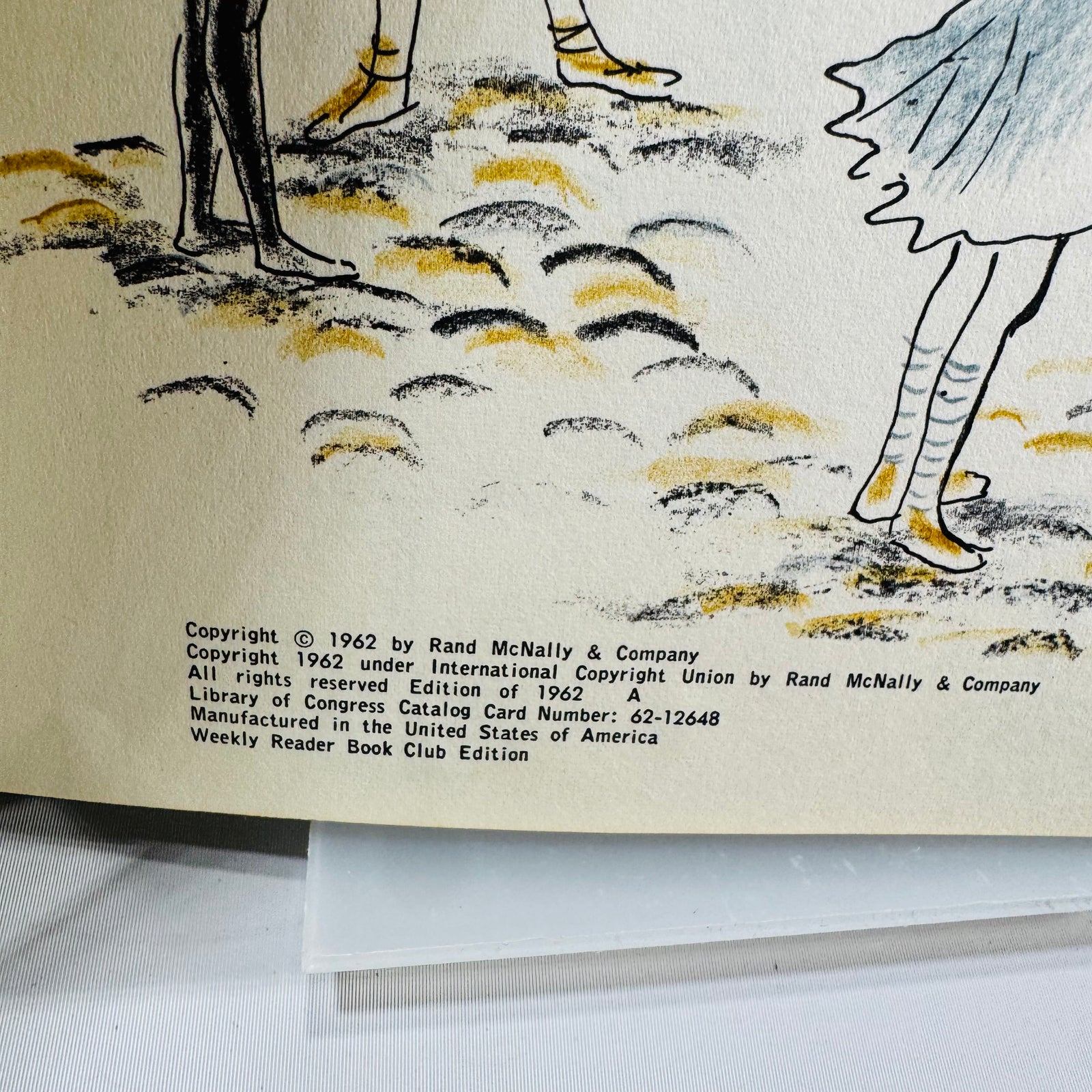 Vintage Children’s Picture Book Rosalie The Bird Market Turtle Winifred and Cecil Lubell Hardcover 1962