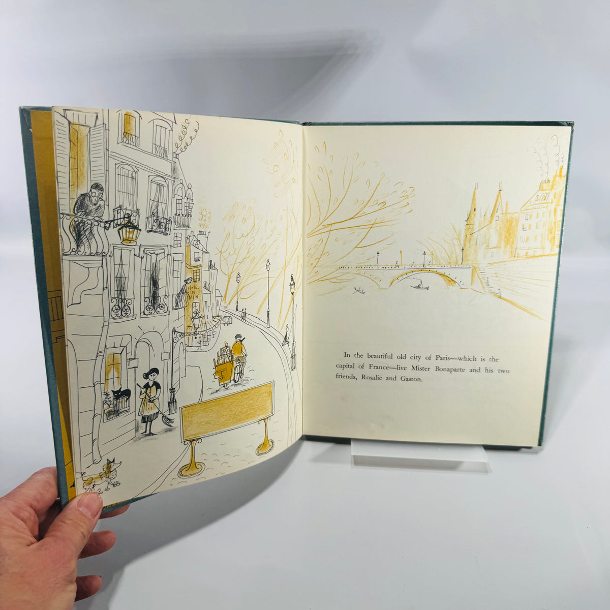 Vintage Children’s Picture Book Rosalie The Bird Market Turtle Winifred and Cecil Lubell Hardcover 1962