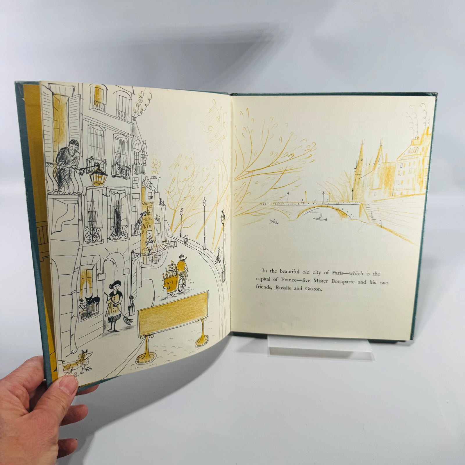 Vintage Children’s Picture Book Rosalie The Bird Market Turtle Winifred and Cecil Lubell Hardcover 1962