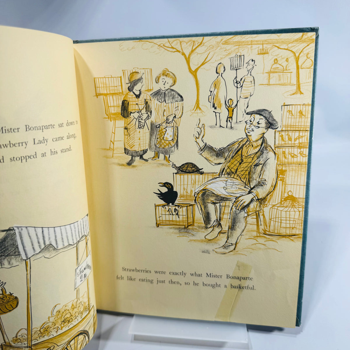 Vintage Children’s Picture Book Rosalie The Bird Market Turtle Winifred and Cecil Lubell Hardcover 1962