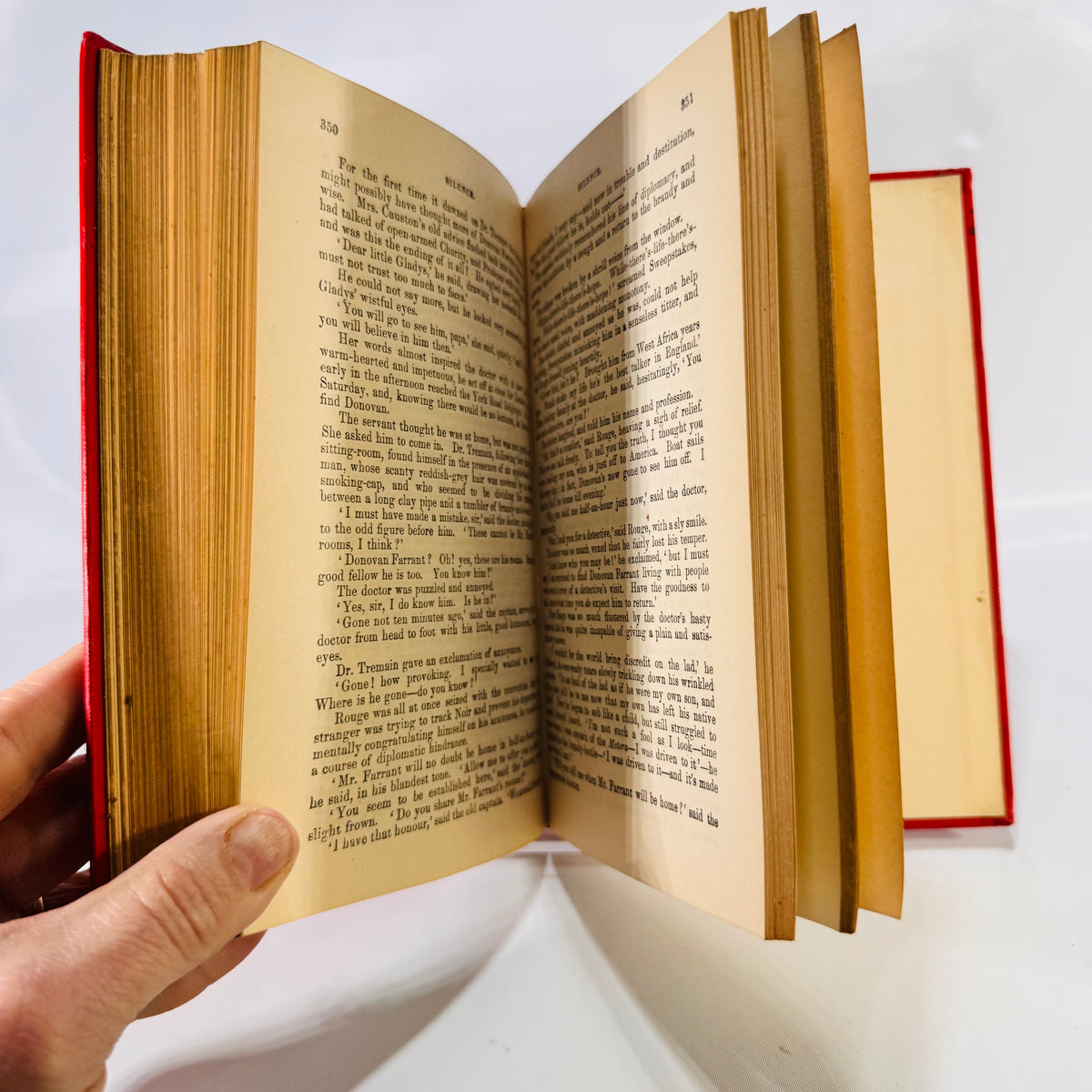 Donovan: A Modern Englishman – A Novel of Love, Art, and Social Boundaries (1899) by Edna Lyall