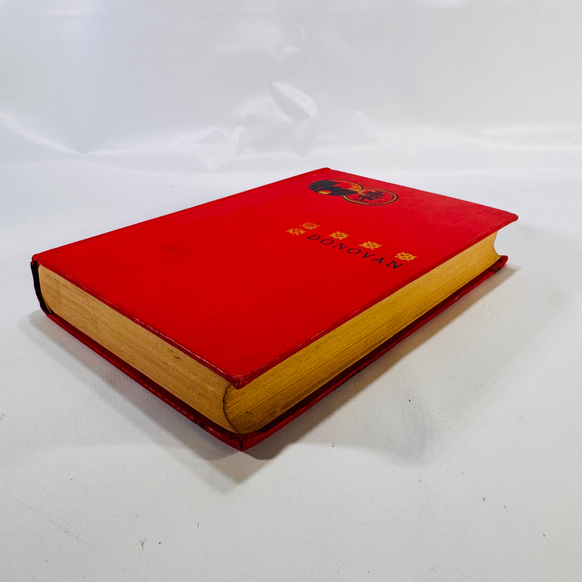 Donovan: A Modern Englishman – A Novel of Love, Art, and Social Boundaries (1899) by Edna Lyall