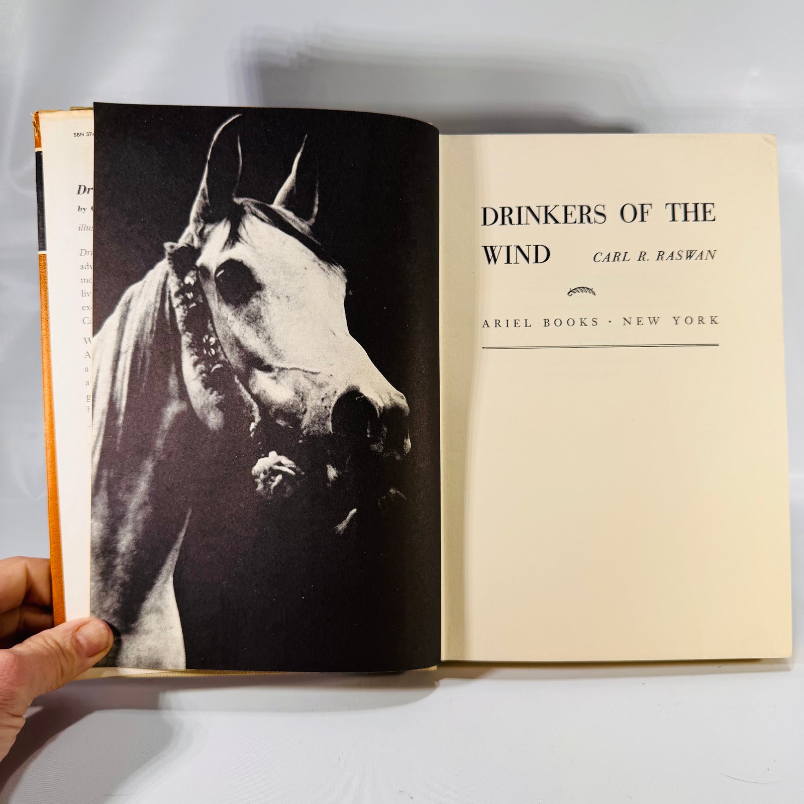 Drinkers of the Wind – A Classic Equestrian Adventure by Carl Raswan (1971) Hardcover