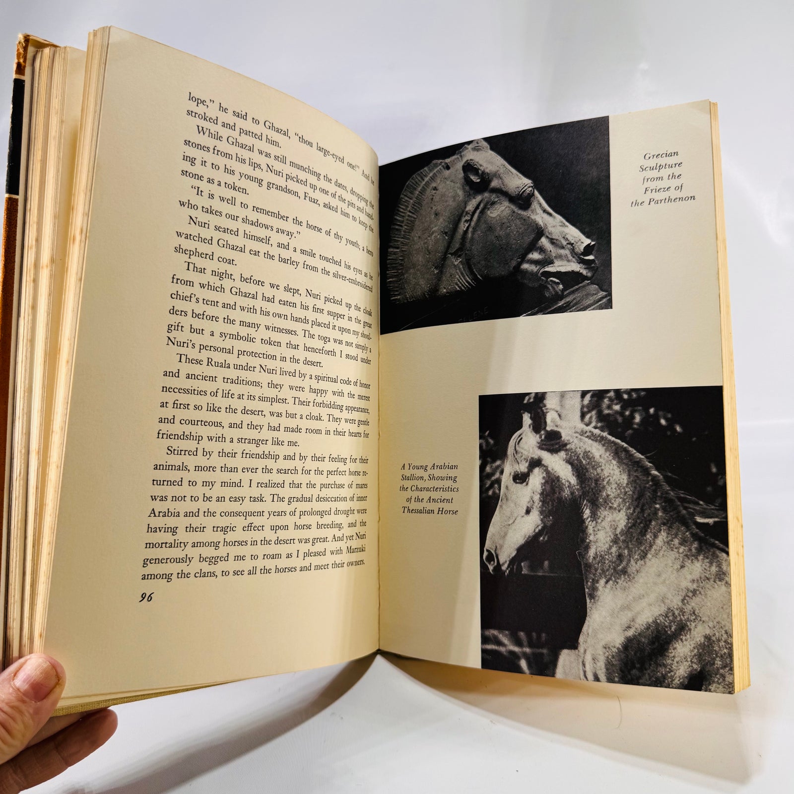 Drinkers of the Wind – A Classic Equestrian Adventure by Carl Raswan (1971) Hardcover