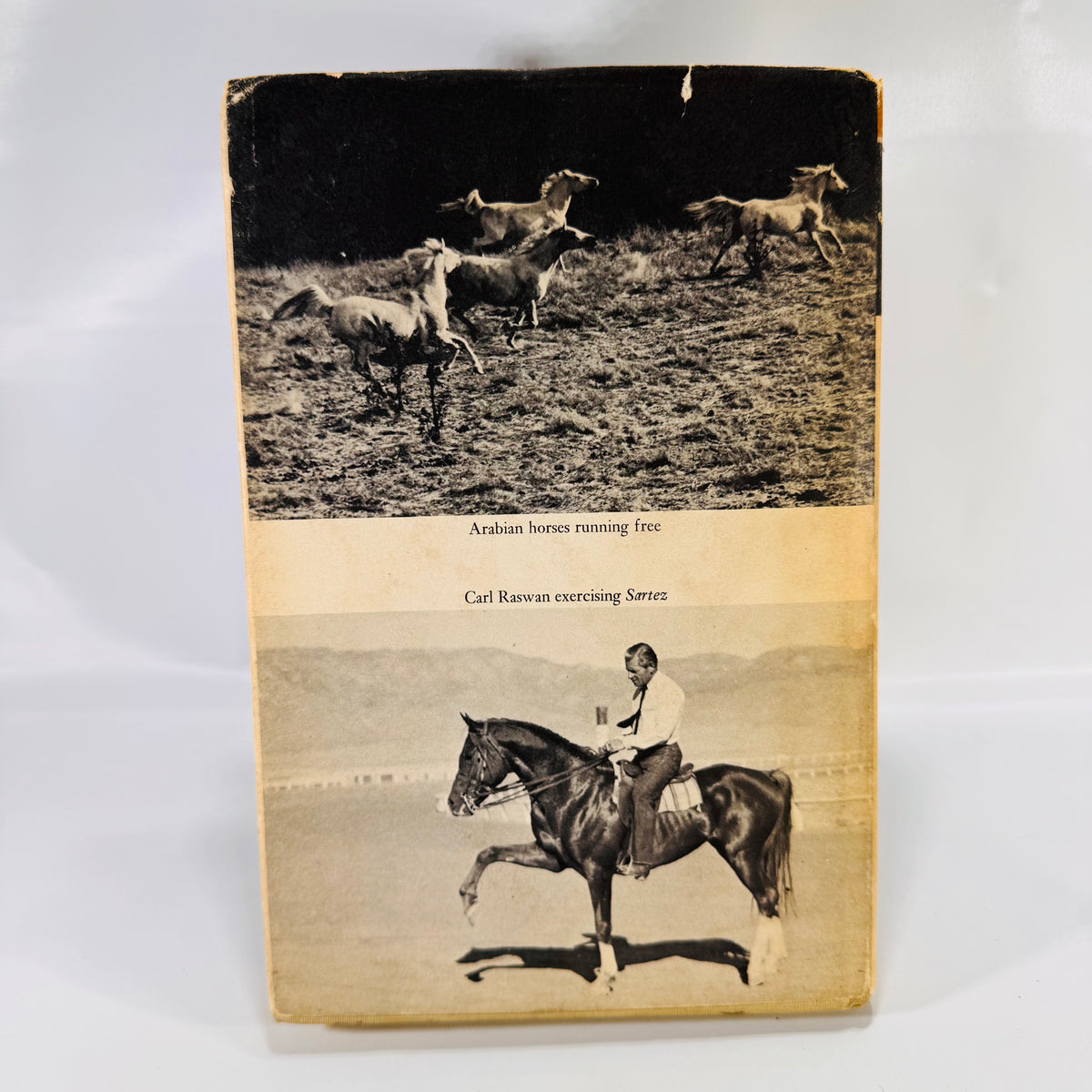 Drinkers of the Wind – A Classic Equestrian Adventure by Carl Raswan (1971) Hardcover