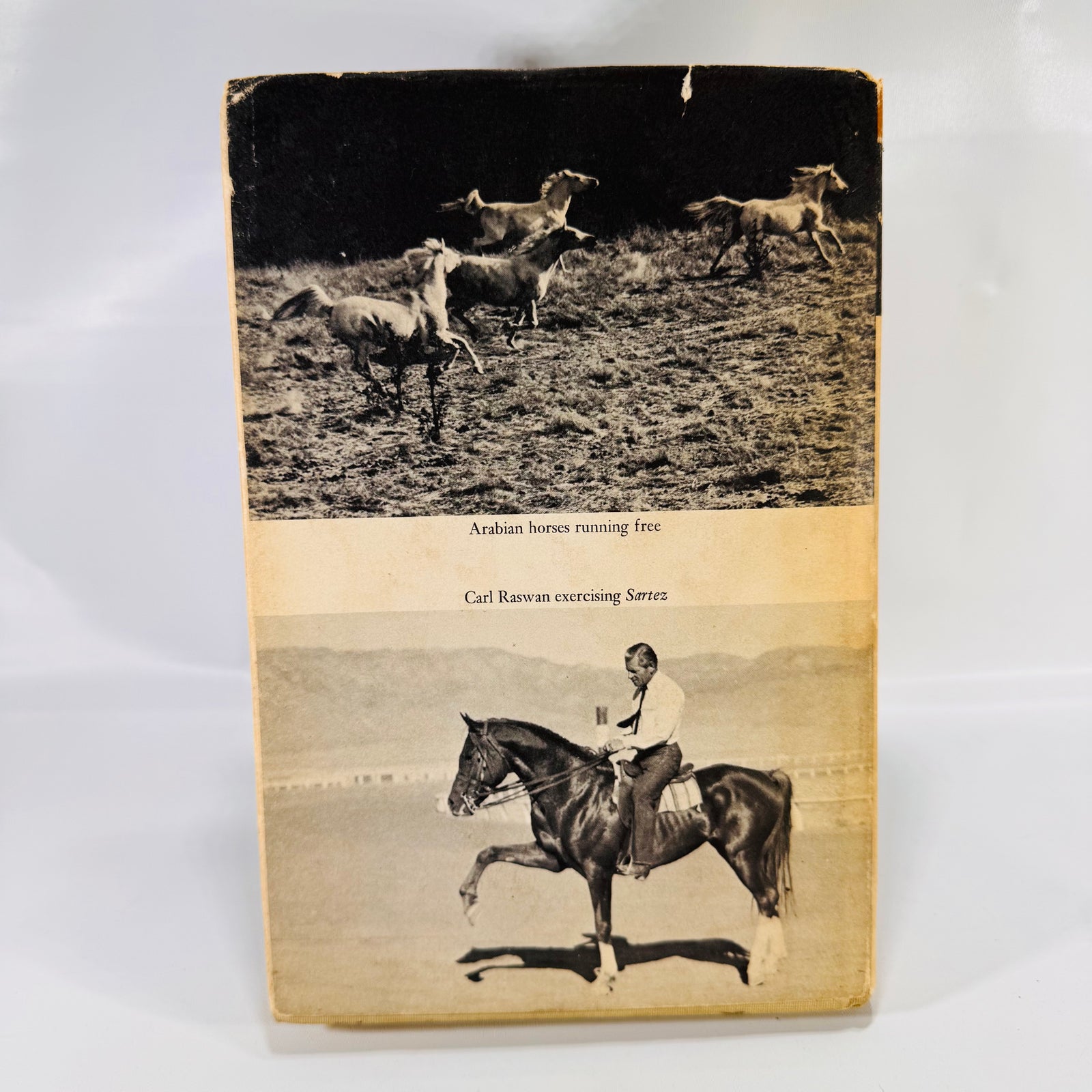 Drinkers of the Wind – A Classic Equestrian Adventure by Carl Raswan (1971) Hardcover