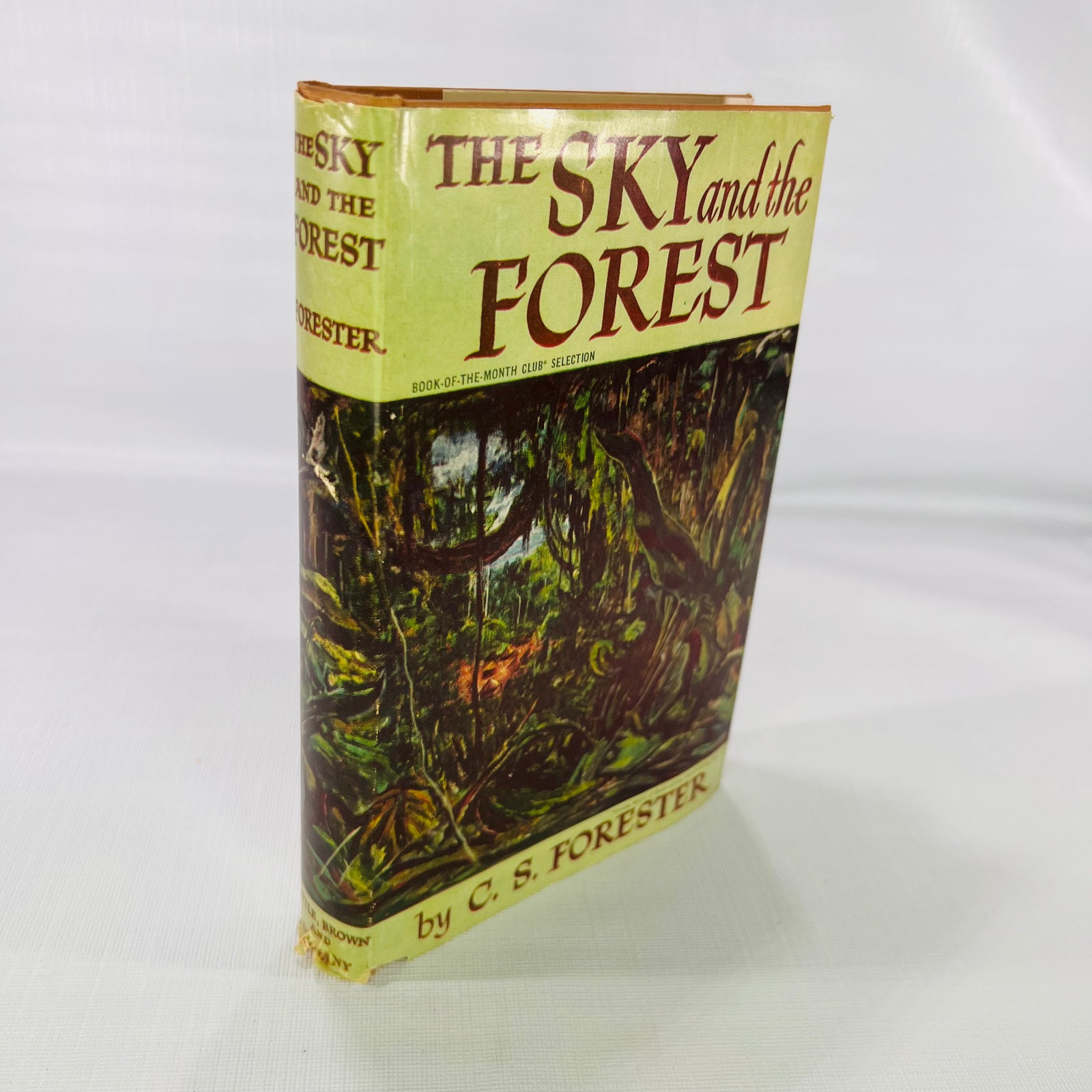 The Sky and the Forest by C. S. Forester 1948 Little Brown and Company