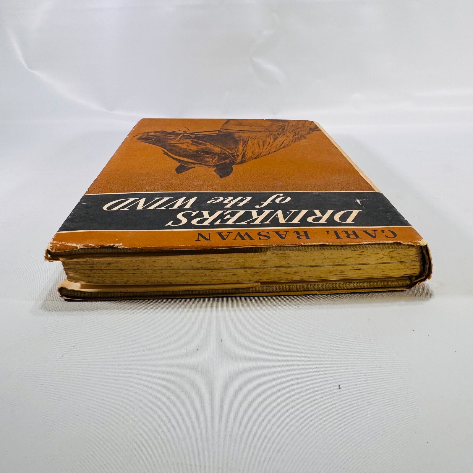 Drinkers of the Wind – A Classic Equestrian Adventure by Carl Raswan (1971) Hardcover