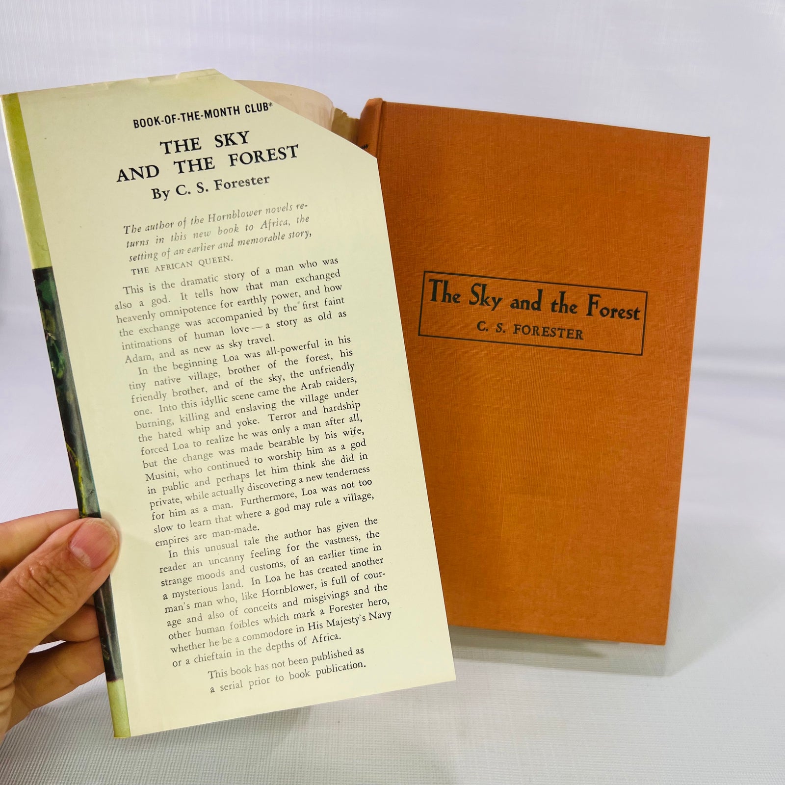 The Sky and the Forest by C. S. Forester 1948 Little Brown and Company