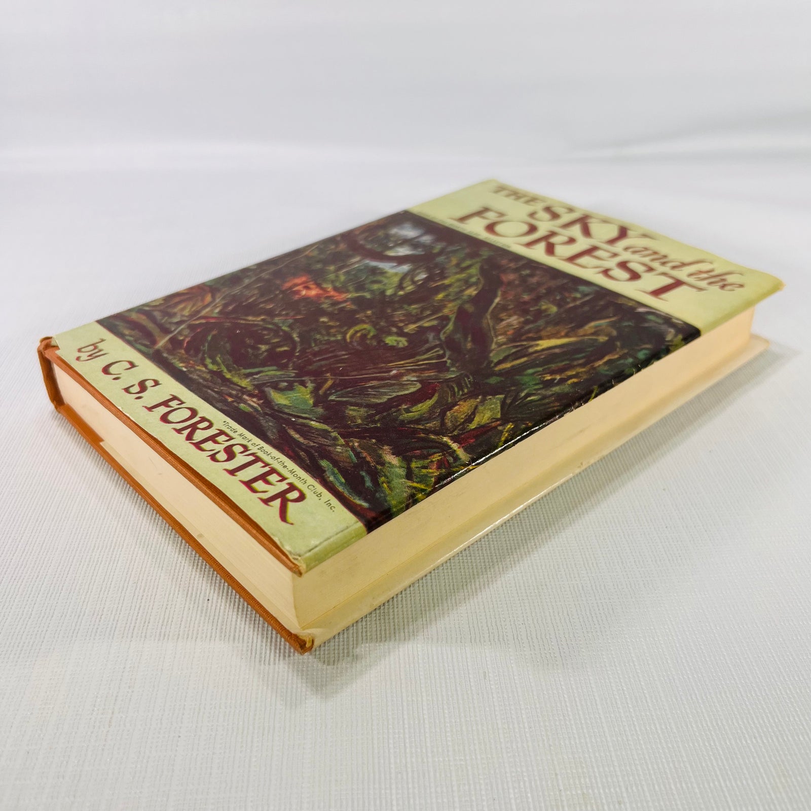 The Sky and the Forest by C. S. Forester 1948 Little Brown and Company