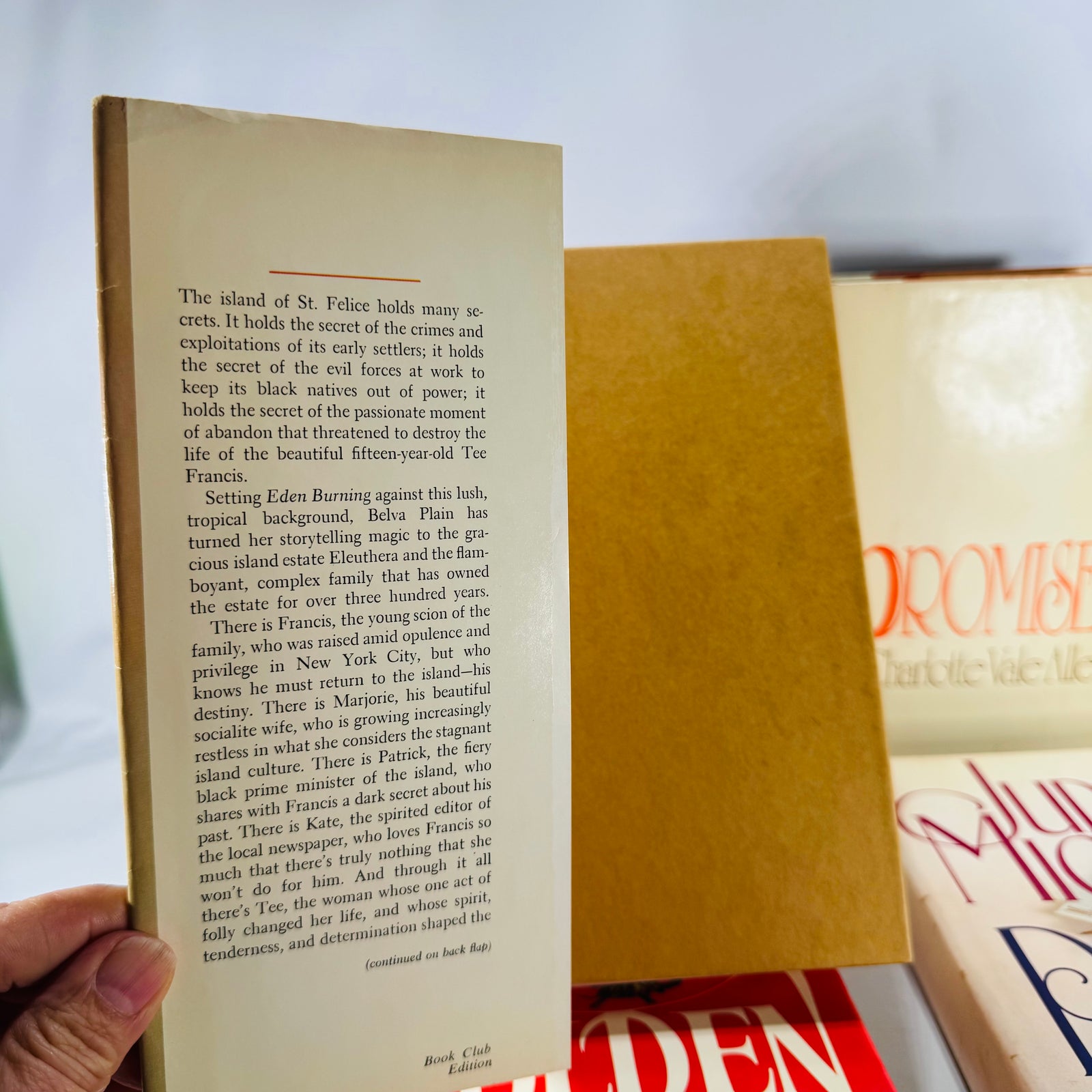 Vintage Four Book Bundle — Domestic Drama & Family Sagas (1980s) — Belva Plain, Charlotte Vale Allen, Judith Michael