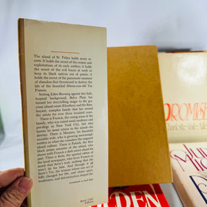 Vintage Four Book Bundle — Domestic Drama & Family Sagas (1980s) — Belva Plain, Charlotte Vale Allen, Judith Michael