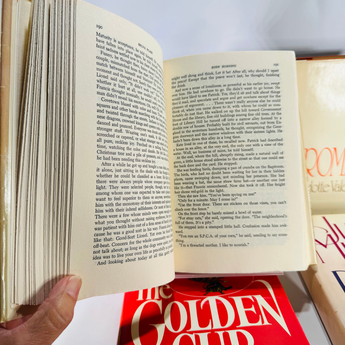 Vintage Four Book Bundle — Domestic Drama & Family Sagas (1980s) — Belva Plain, Charlotte Vale Allen, Judith Michael