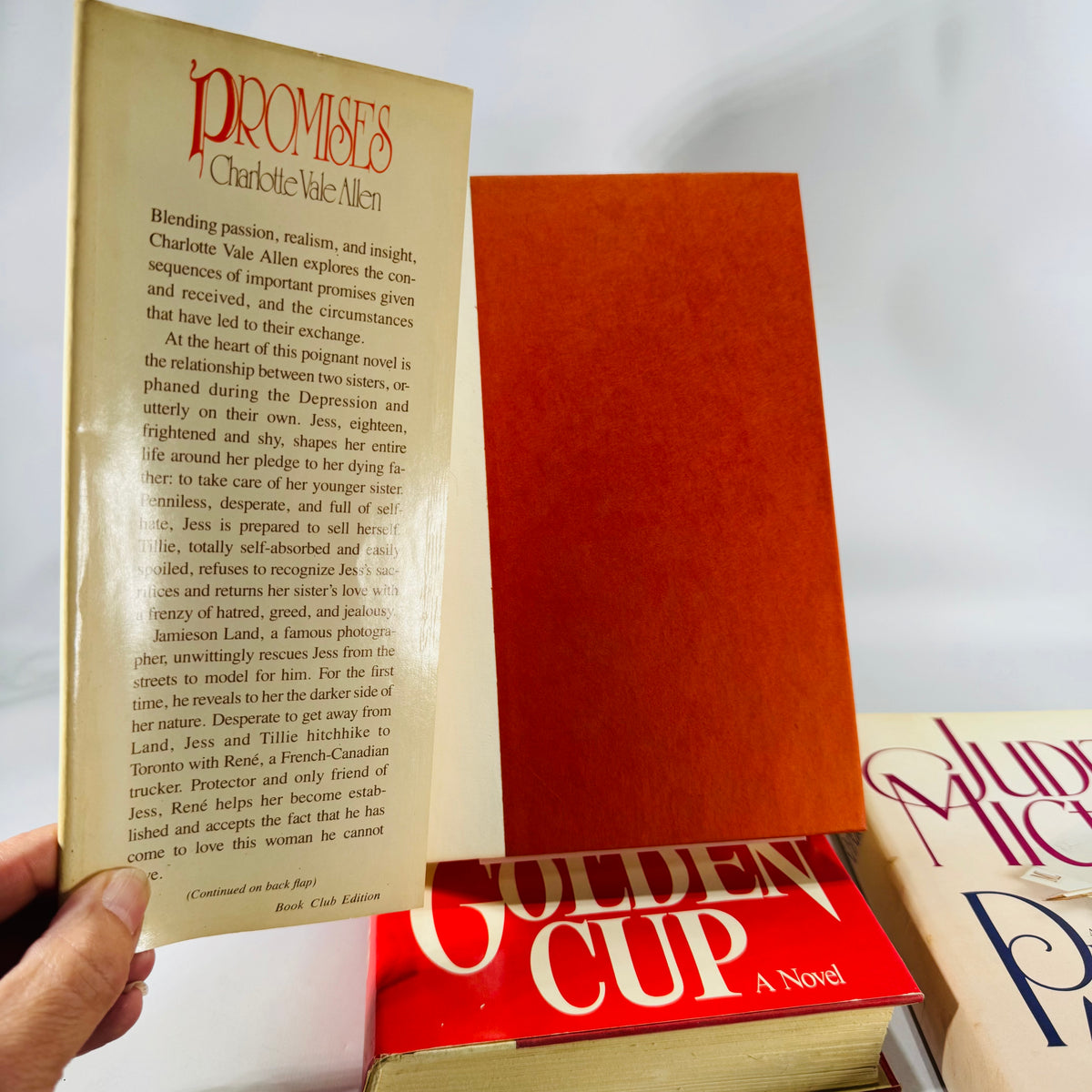 Vintage Four Book Bundle — Domestic Drama & Family Sagas (1980s) — Belva Plain, Charlotte Vale Allen, Judith Michael