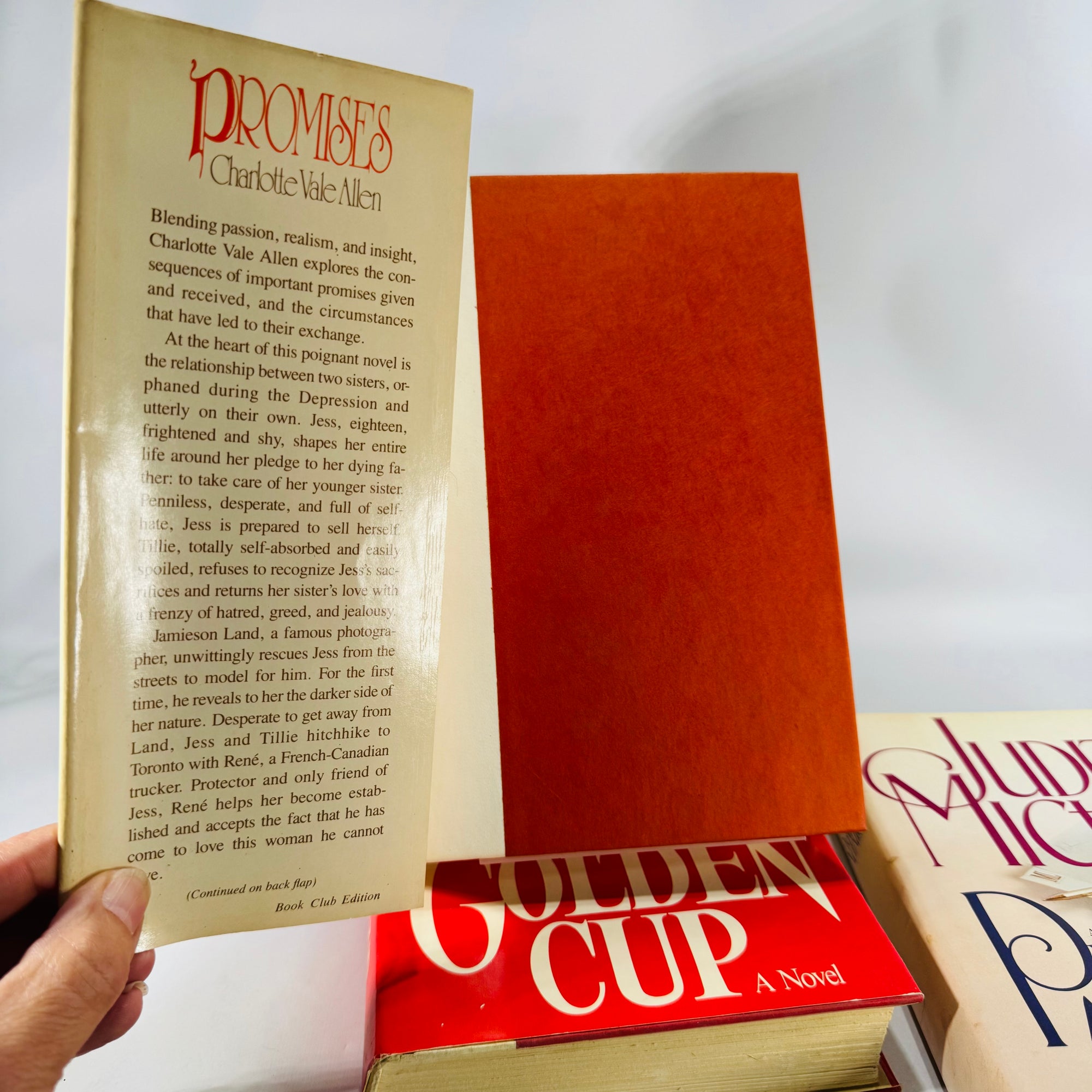 Vintage Four Book Bundle — Domestic Drama & Family Sagas (1980s) — Belva Plain, Charlotte Vale Allen, Judith Michael