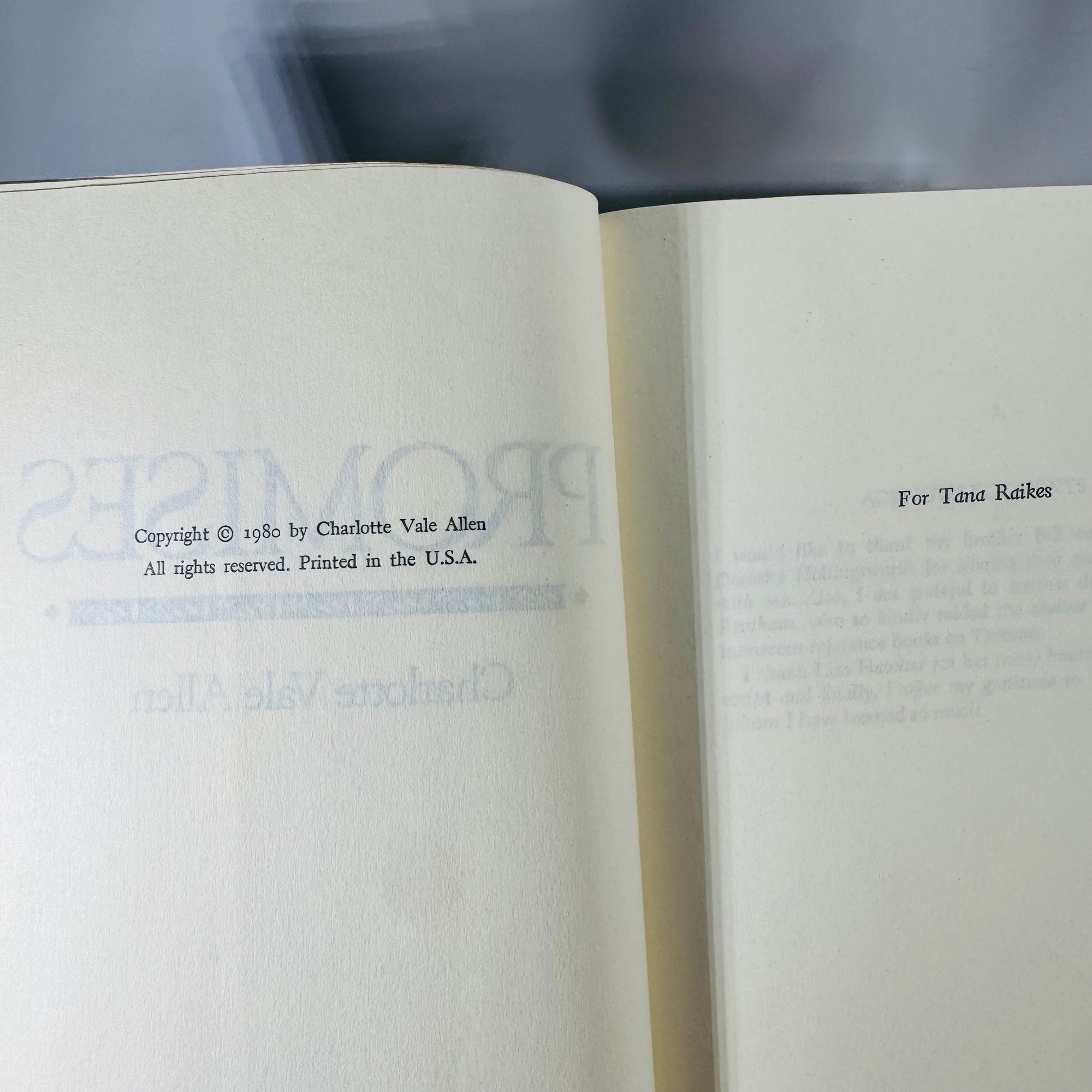 Vintage Four Book Bundle — Domestic Drama & Family Sagas (1980s) — Belva Plain, Charlotte Vale Allen, Judith Michael