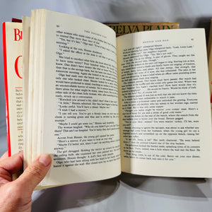 Vintage Four Book Bundle — Domestic Drama & Family Sagas (1980s) — Belva Plain, Charlotte Vale Allen, Judith Michael