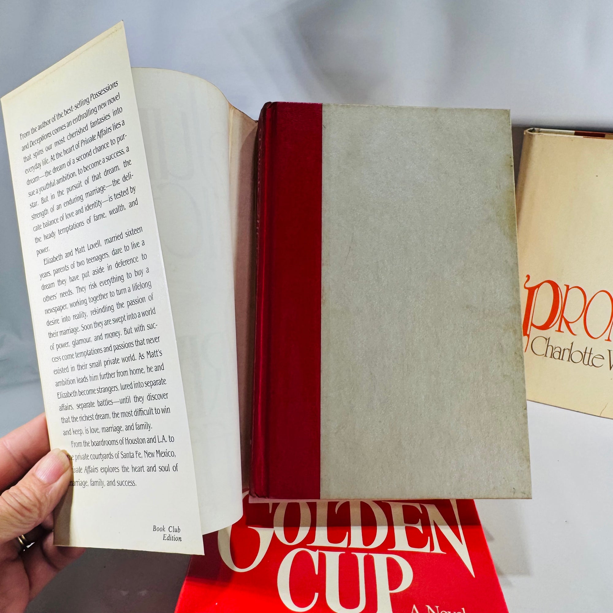 Vintage Four Book Bundle — Domestic Drama & Family Sagas (1980s) — Belva Plain, Charlotte Vale Allen, Judith Michael