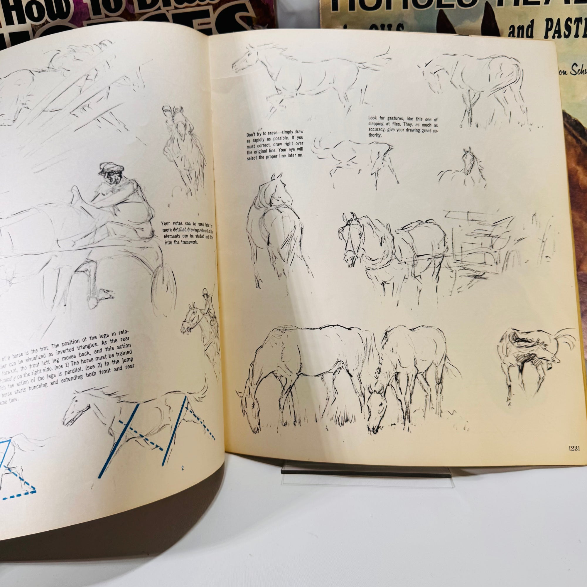Set of Three Vintage Drawing Books – Learn to Draw Horses, Animals & More