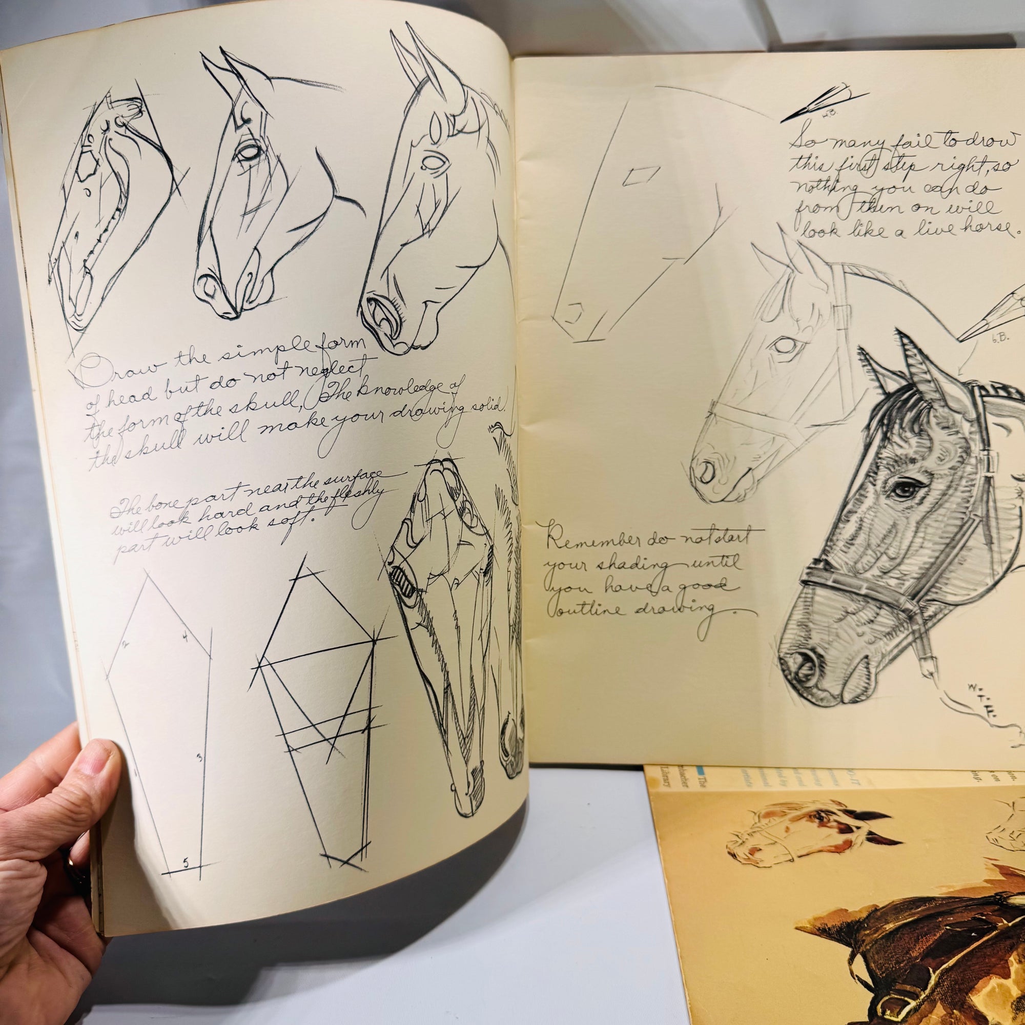 Set of Three Vintage Drawing Books – Learn to Draw Horses, Animals & More