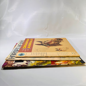 Set of Three Vintage Drawing Books – Learn to Draw Horses, Animals & More