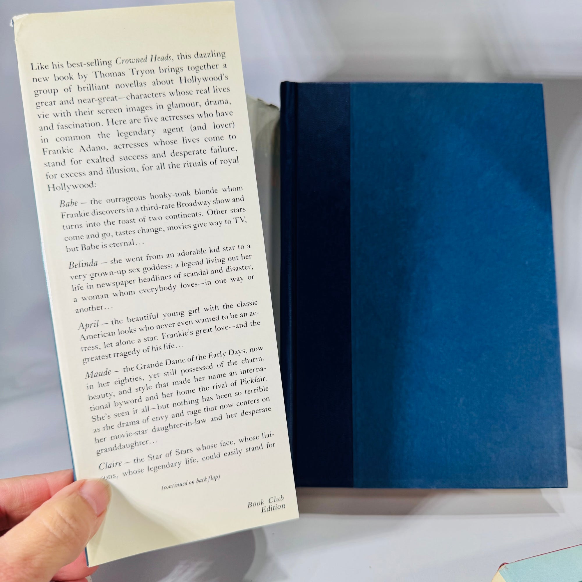 Vintage Suspense & Drama Book Bundle — Tryon, Marasco, Whitney 1980's Fiction