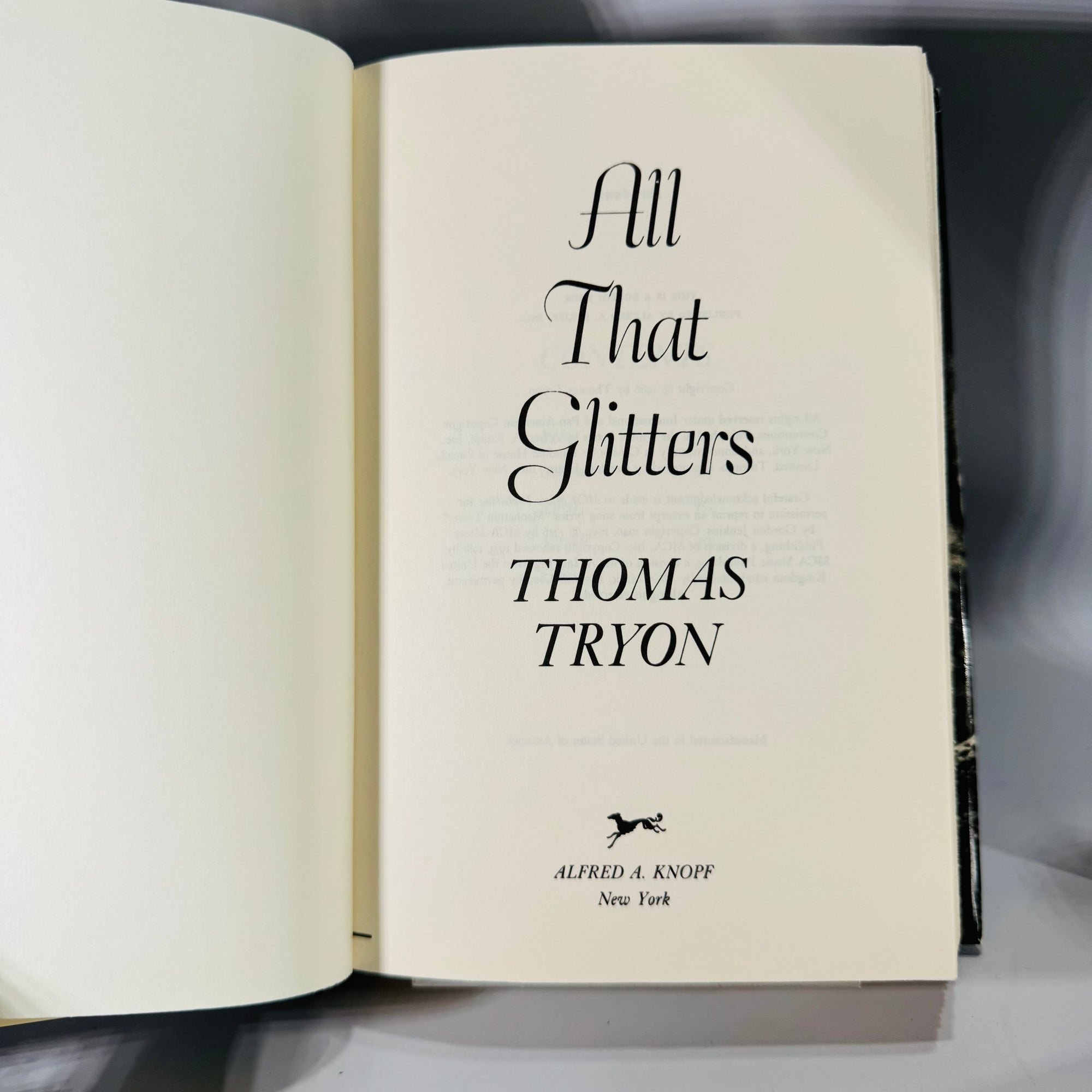 Vintage Suspense & Drama Book Bundle — Tryon, Marasco, Whitney 1980's Fiction