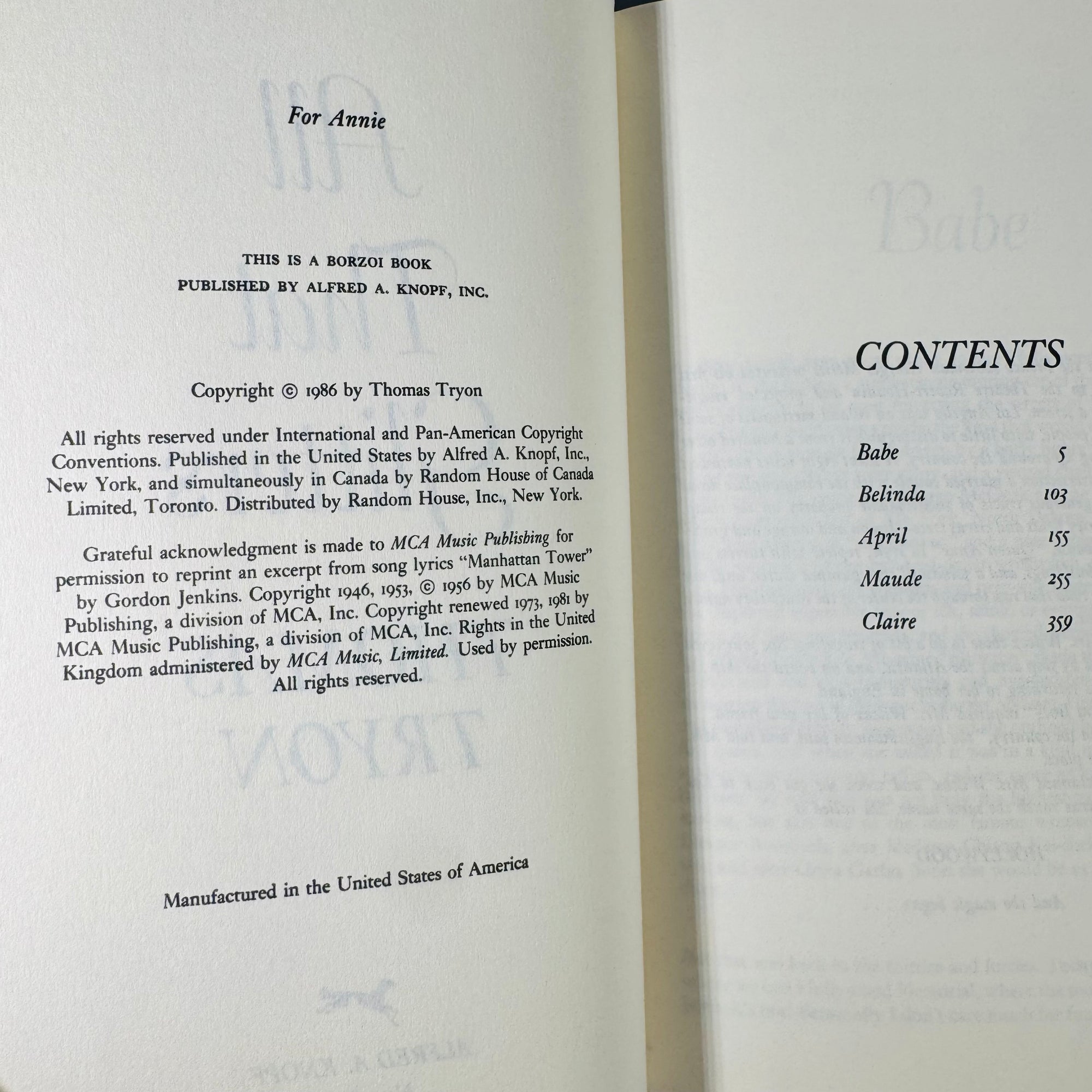 Vintage Suspense & Drama Book Bundle — Tryon, Marasco, Whitney 1980's Fiction