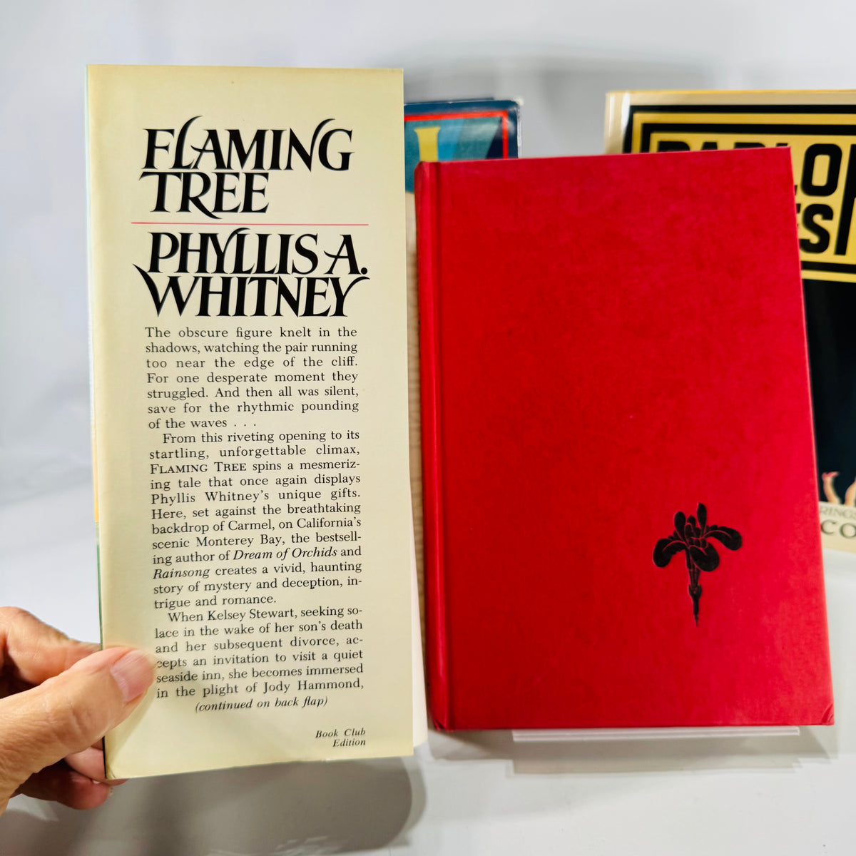 Vintage Suspense & Drama Book Bundle — Tryon, Marasco, Whitney 1980's Fiction