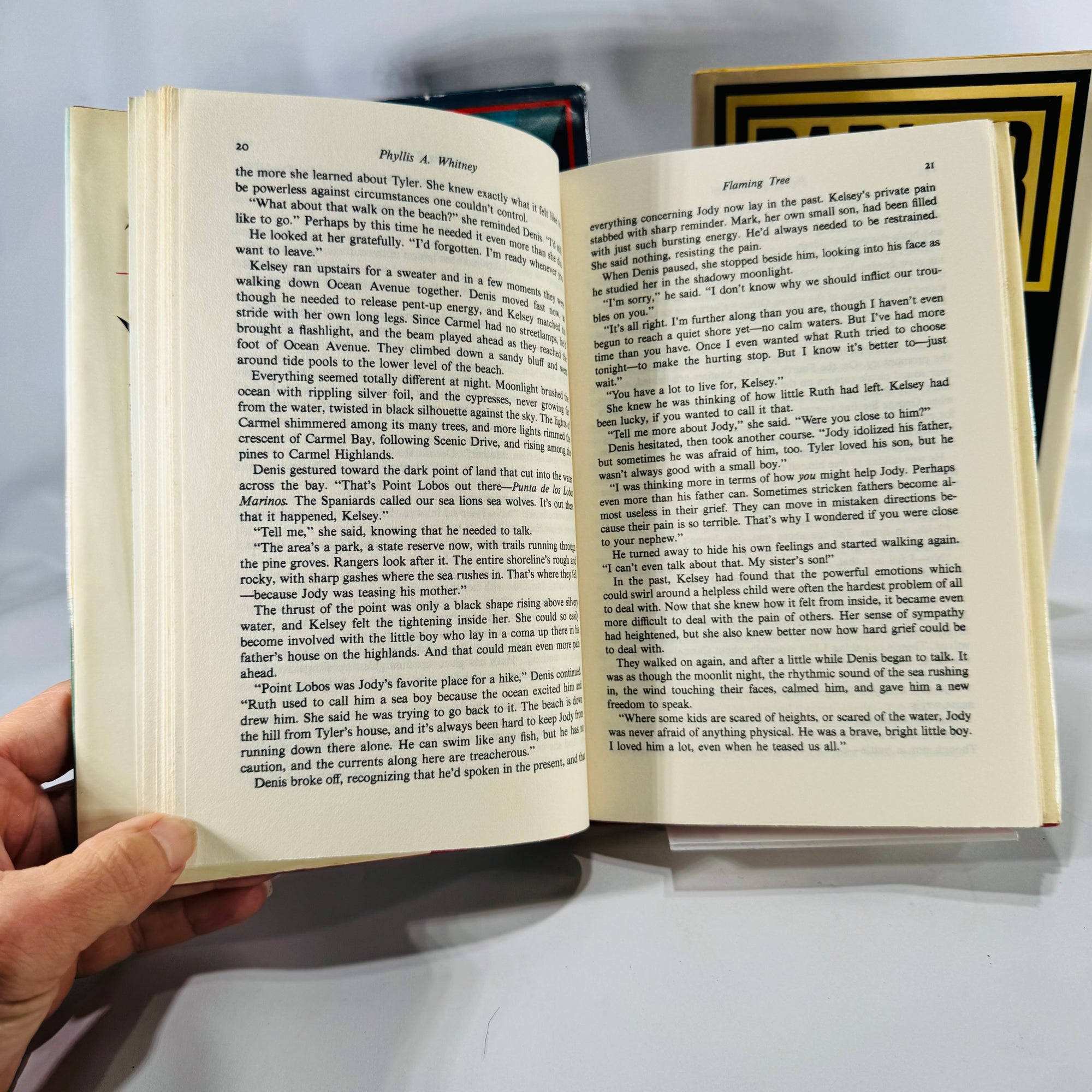 Vintage Suspense & Drama Book Bundle — Tryon, Marasco, Whitney 1980's Fiction