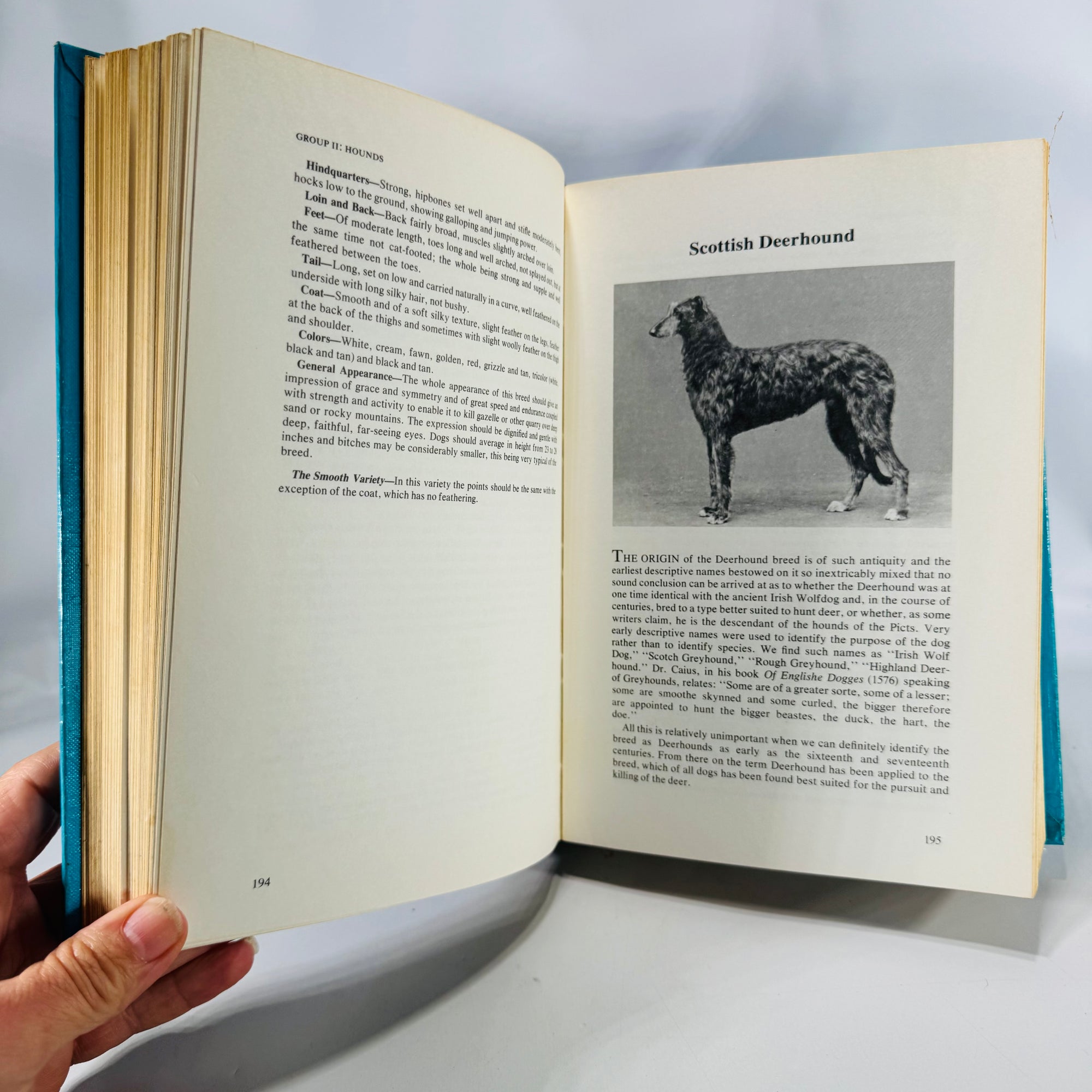 AKC Breed Standards Reference — The Complete Dog Book (1973) — American Kennel Club | Hardcover, Nonfiction