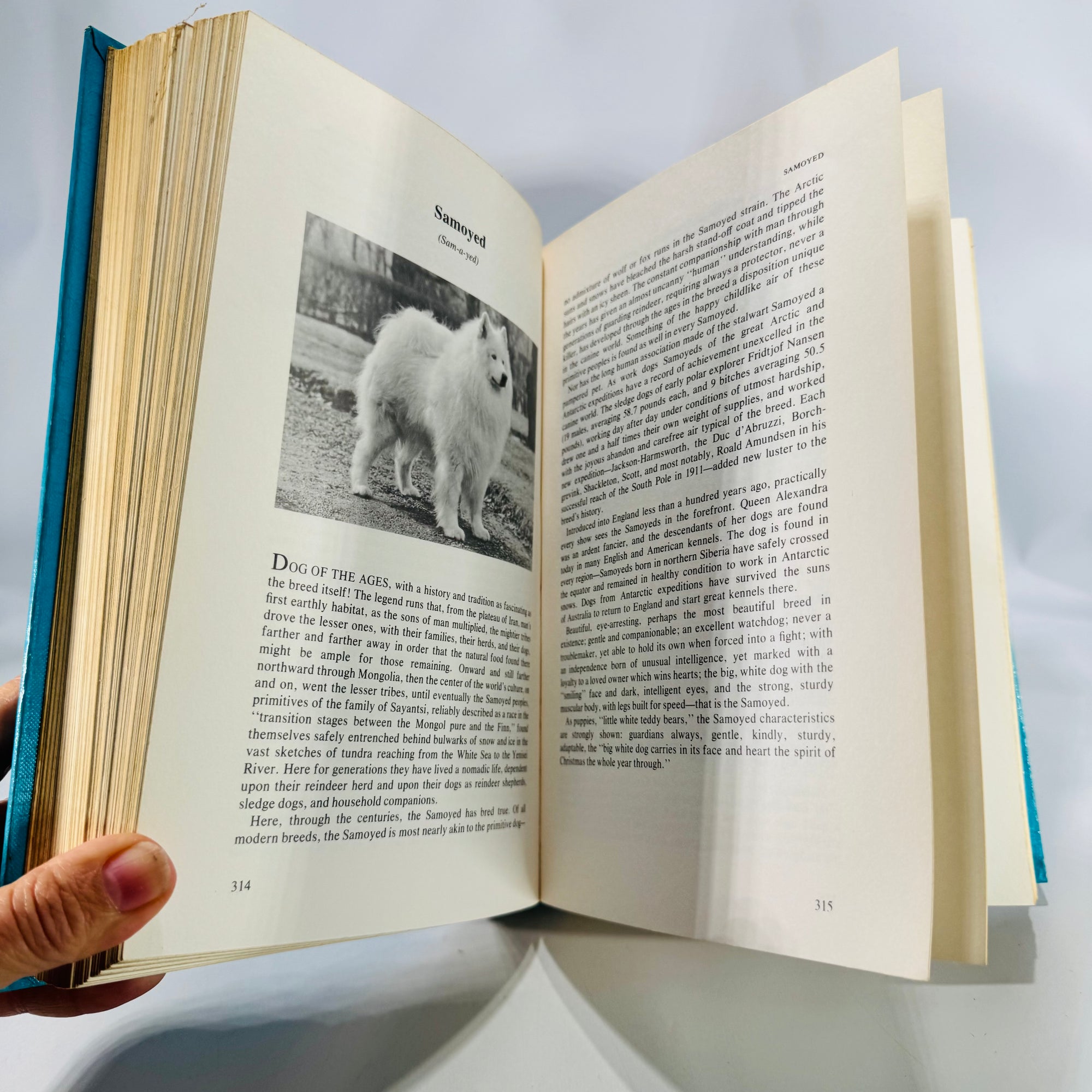 AKC Breed Standards Reference — The Complete Dog Book (1973) — American Kennel Club | Hardcover, Nonfiction