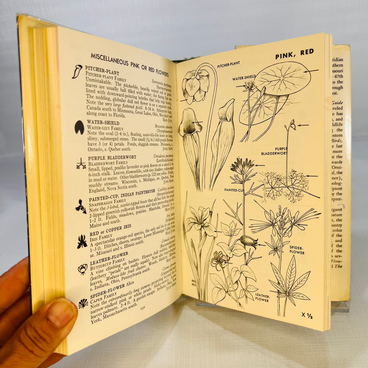 A Field Guide to Wildflowers of Northeastern and North-central North America by Roger Peterson 1968 Part of the Peterson Field Guide Series Houghton Mifflin Company Boston