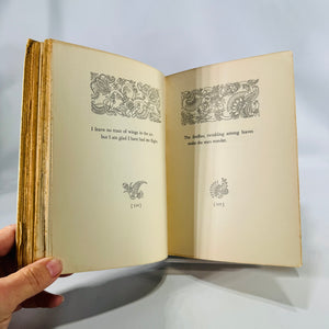 Fireflies by Rabindranath Tagore | 1928 Macmillan First Edition | Illustrated by Boris Artzybasheff | Vintage Poetry Book