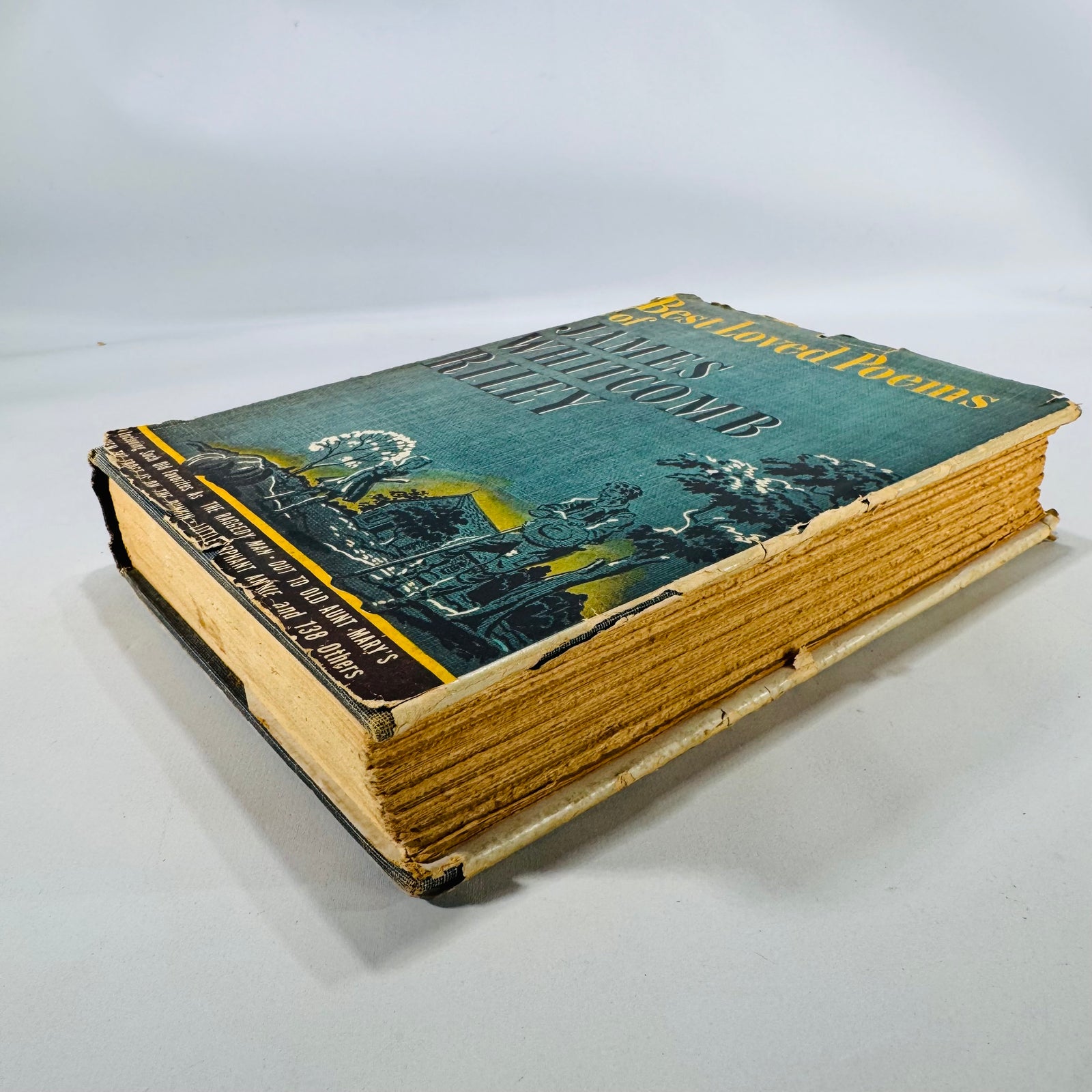 Best Loved Poems of James Whitcomb Riley | 1929 Blue Ribbon Books Omnibus Edition | Illustrated Vintage Poetry Book