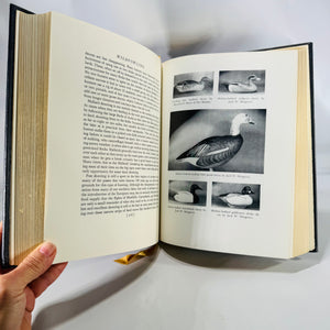 Wildfowling in the Mississippi Flyway | 1984 Premier Press Leather Limited Edition #1471