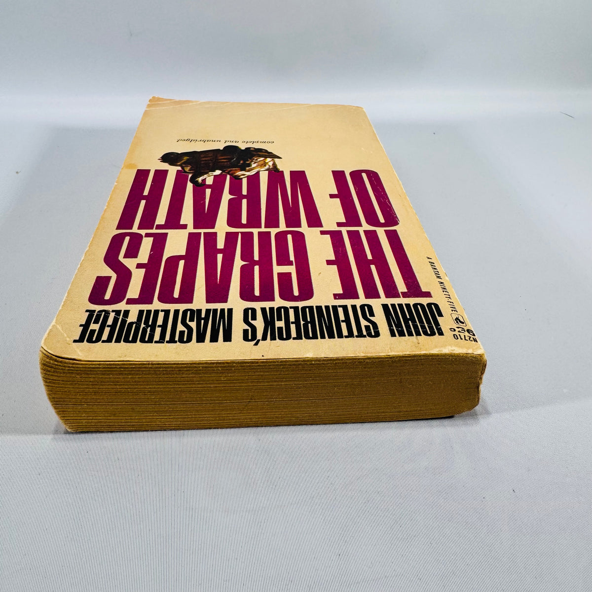Vintage Grapes of Wrath Paperback John Steinbeck Bantam Classic Literature