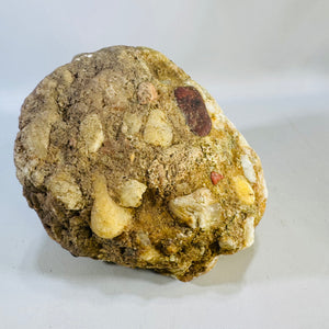 Michigan Puddingstone — Jasper & Quartz Conglomerate Specimen