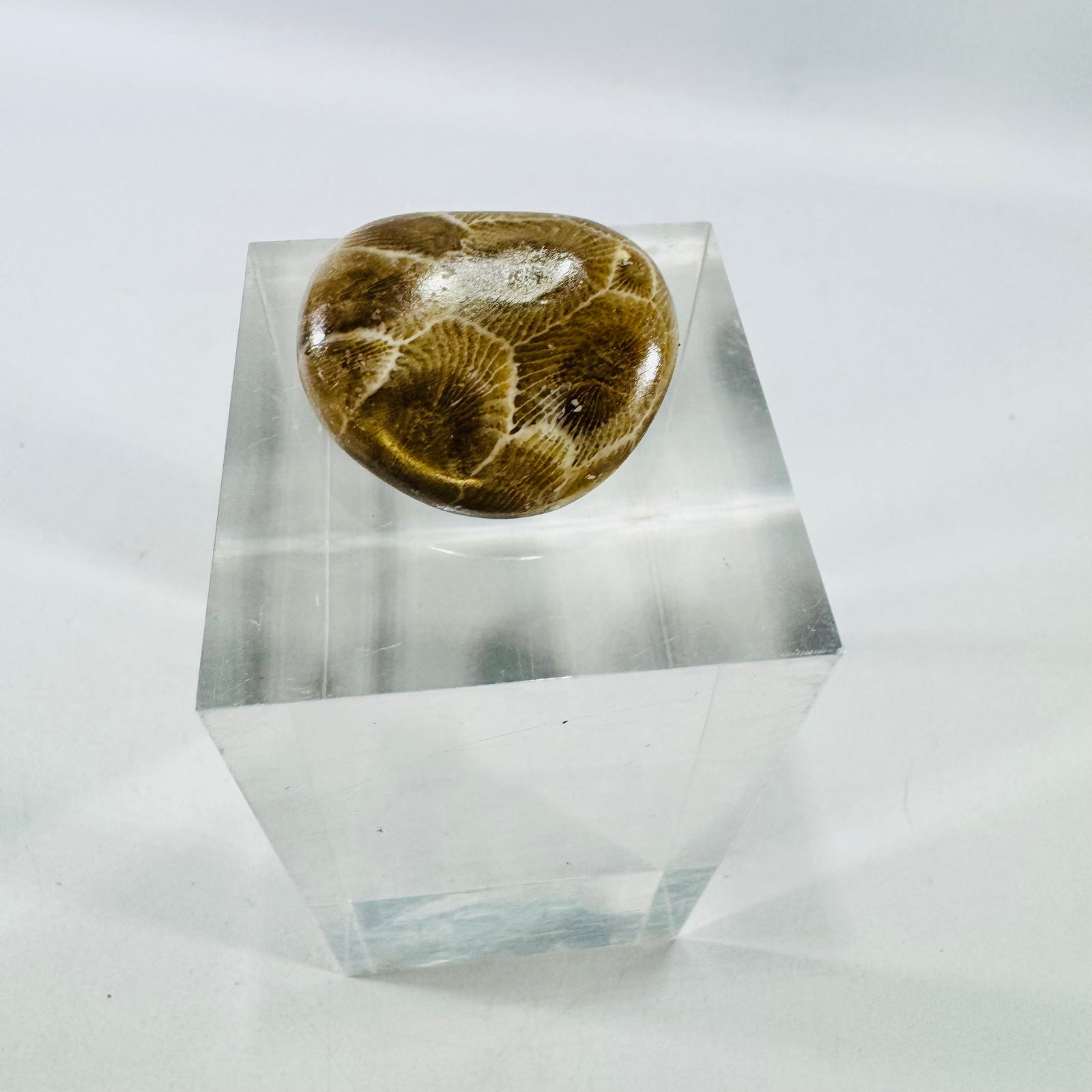 Petoskey Stone Brooch Michigan Fossil Coral Vintage Pin