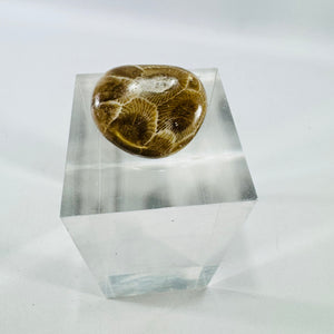 Petoskey Stone Brooch Michigan Fossil Coral Vintage Pin