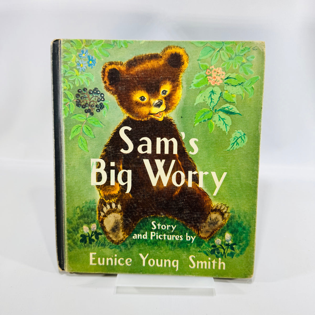 Sam's Big Worry Eunice Young Smith 1953 Cadmus Books Hardcover Ionia Michigan School Copy
