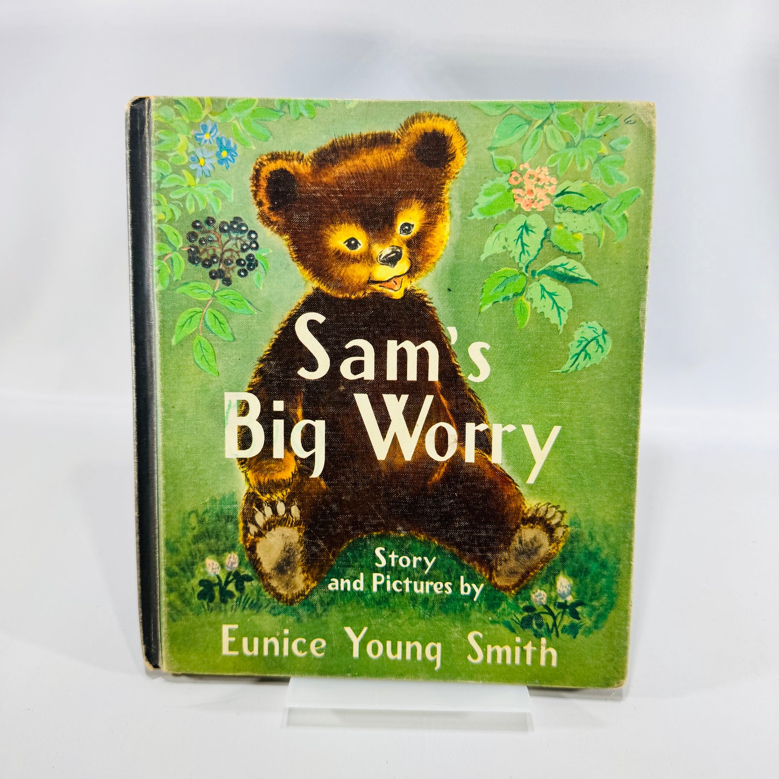 Sam's Big Worry Eunice Young Smith 1953 Cadmus Books Hardcover Ionia Michigan School Copy