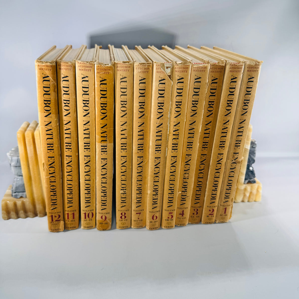 Vintage Natural History Reference (First Printing) — The Audubon Nature Encyclopedia 12-Volume Set (1964–1965) — National Audubon Society | Illustrated Wildlife + Ecology, Natural History / Wildlife Reference