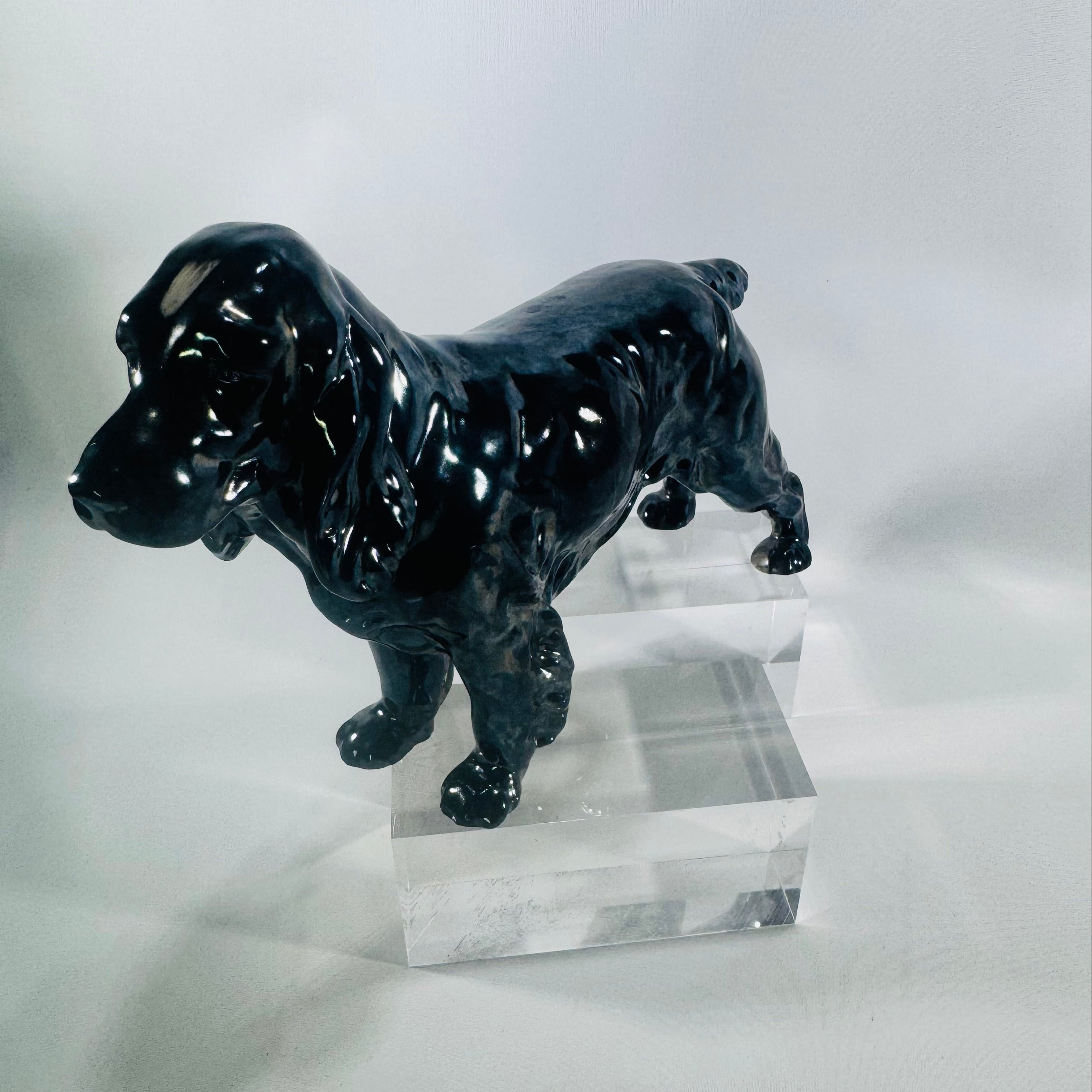 Vintage Dog Books & Collectibles | Reading Vintage