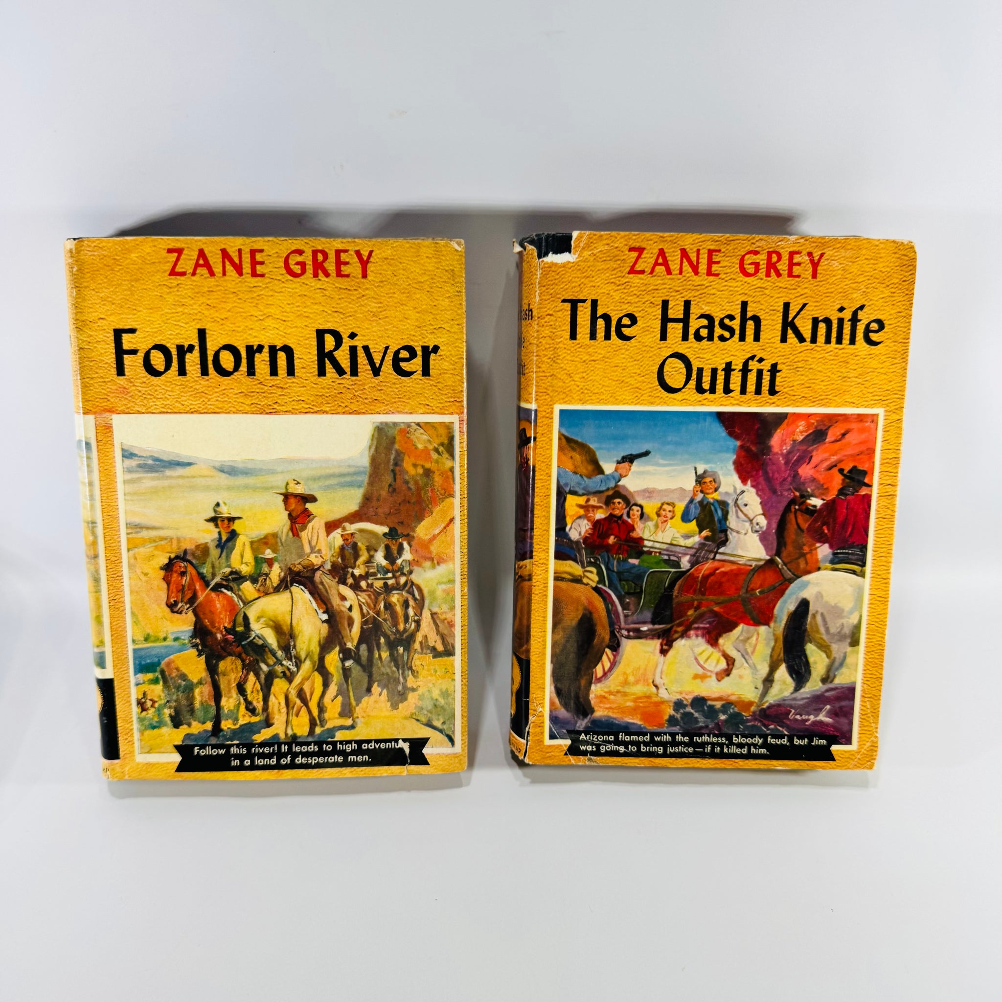 Nelson Roy Hattersleyハードカバー １９７４年 洋書 Vintage Zane Grey Western Books Set Forlorn River and Hash Knife