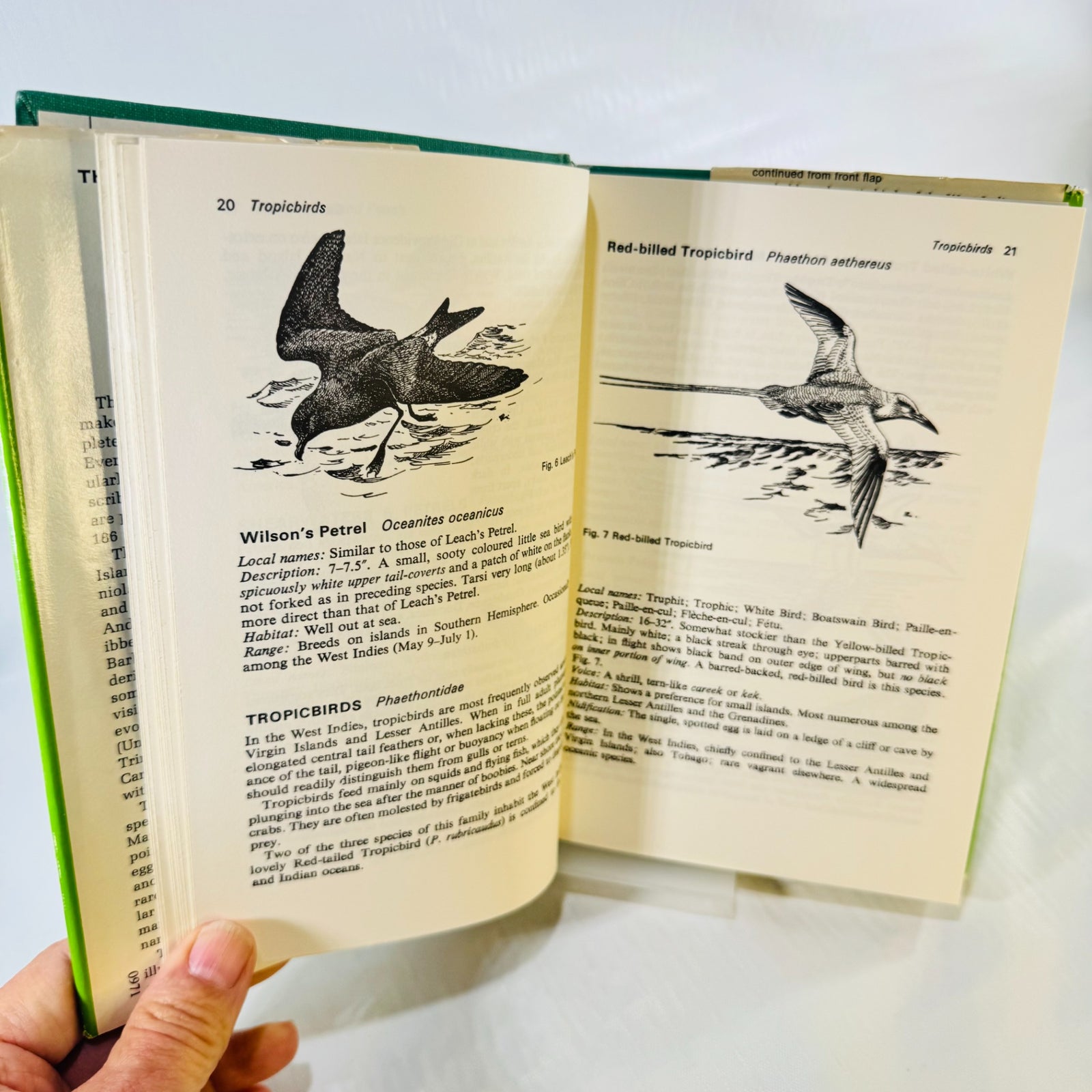 Birds of the West Indies open to pages 20 and 21, with black-and-white drawings of Wilson's Petrel and the Red-billed Tropicbird.