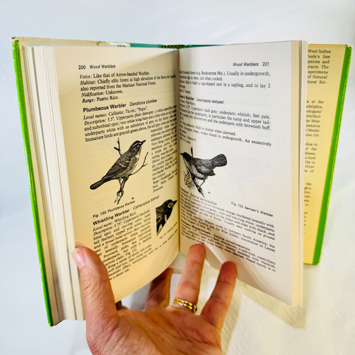 Birds of the West Indies open to pages 200 and 201, with wood warbler descriptions and black-and-white bird drawings.