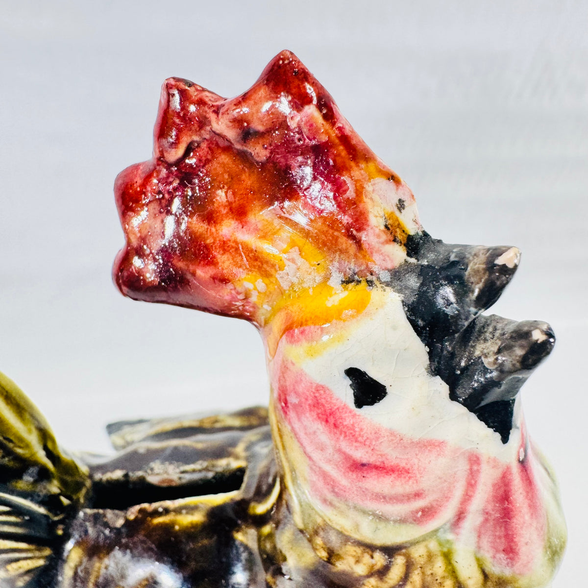 Close up of the rooster bank head showing the red comb, pink wattles, crazed white face, and worn beak tips.