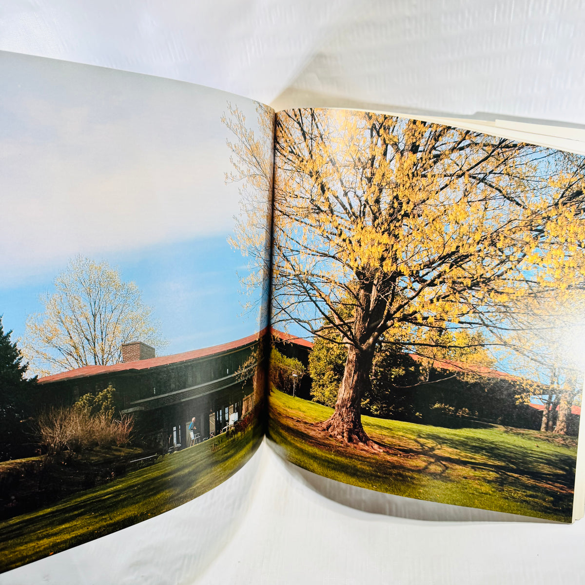 Color photographs of a Prairie style house and grounds in Volume 3